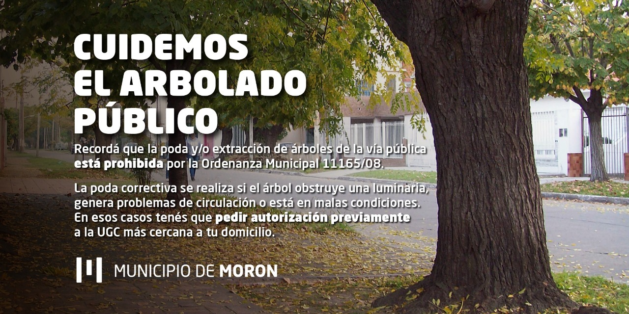 Municipio de Morón on Twitter: 