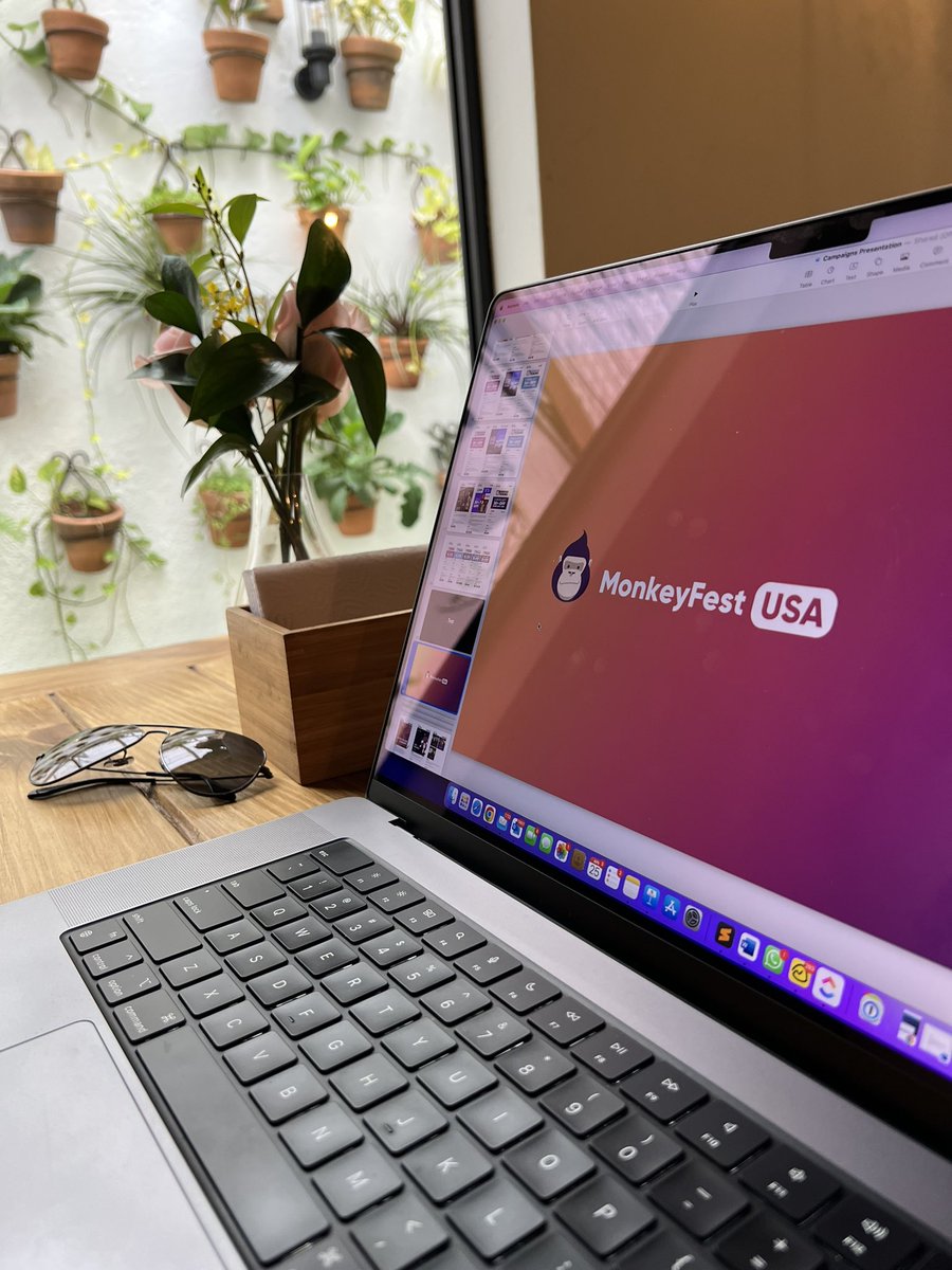 MonkeyFestUSA tweet media