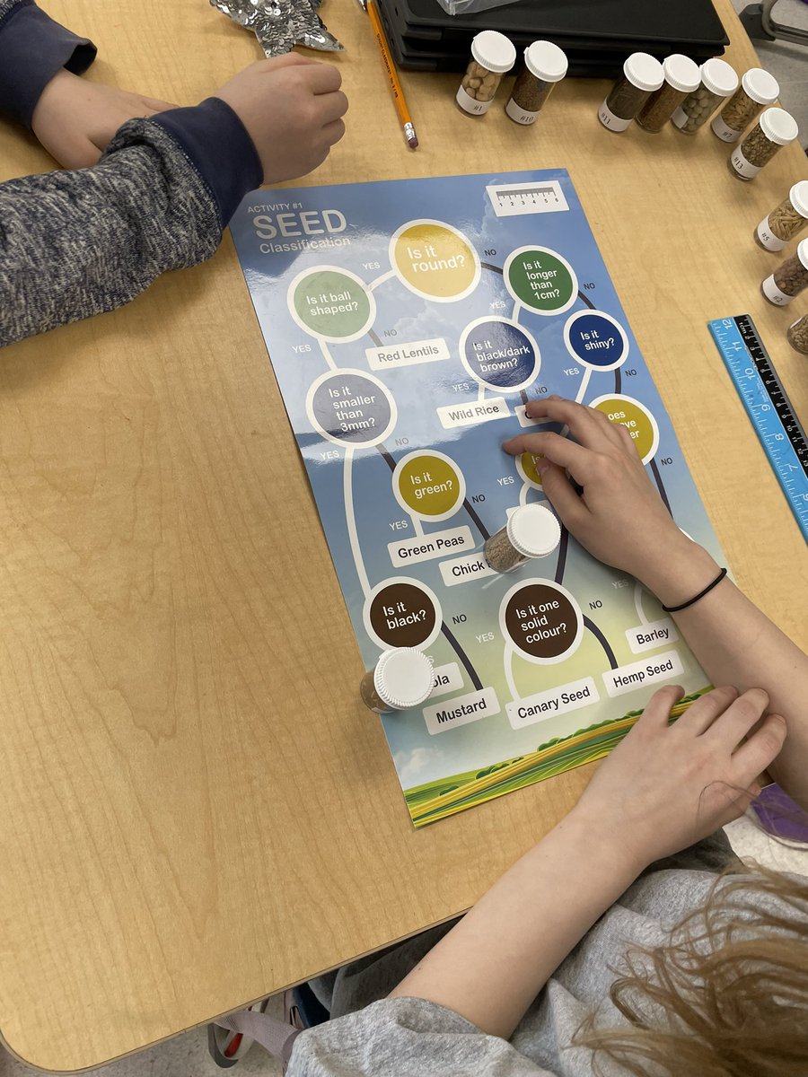 Nicole Macleod tweet media