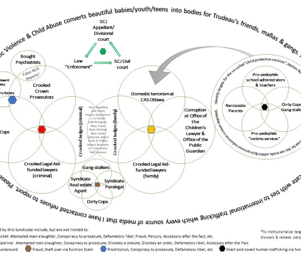 CaeJak's tweet photo. @mandi_pn “present within the guideline” = don’t present your evidence that OPS is heavily involved in organized crime.

What. A. (taxpayer-funded) Racket.

Hannah Logan? You are complicit due to inaction (S. 21(1) of CCC renders you an Accessory after the Fact for multiple crimes). https://t.co/vM1ZHJUQvf