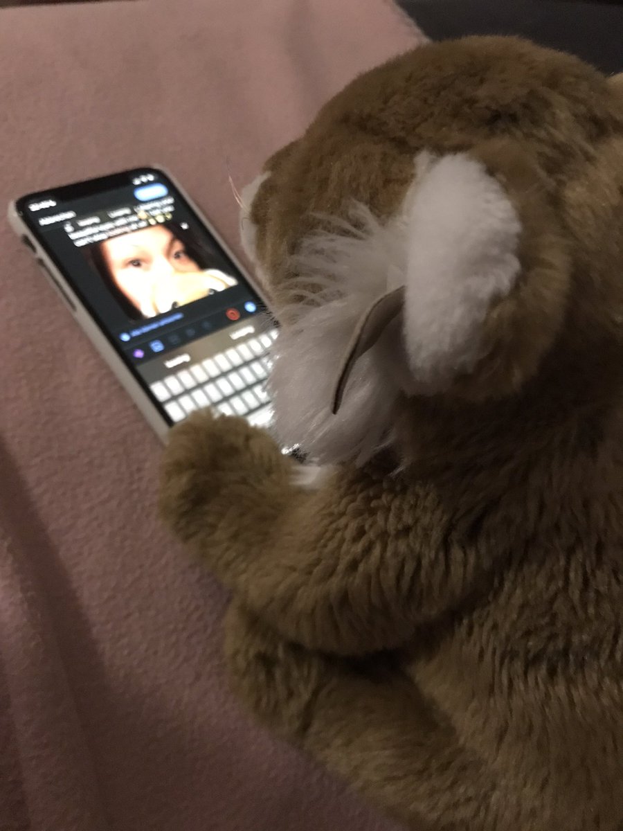 Melanie 🐯 tweet media