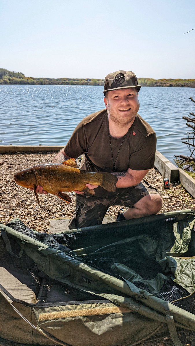 When you're out Carp fishing and end up catching an 8lb Tench! 🐟🎣 
#tench #carpfishing #fishing