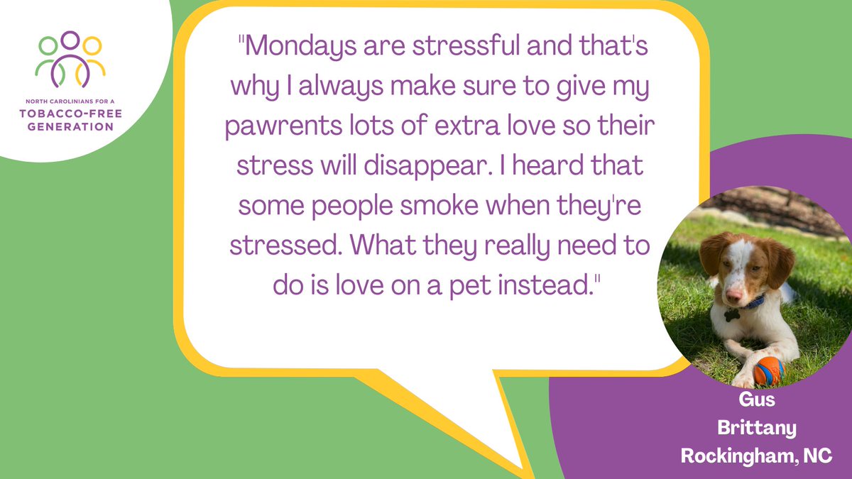 TobaccoFreeNC's tweet photo. It's Monday. #TwitterSold. We're still working for a #TobaccoFreeNC and hoping #PetsNotPuffs goes viral. Tag someone who loves hashtags or pets or is super stressed today. @uncfammed @Scout_Gus https://t.co/kgQO9OwSmA