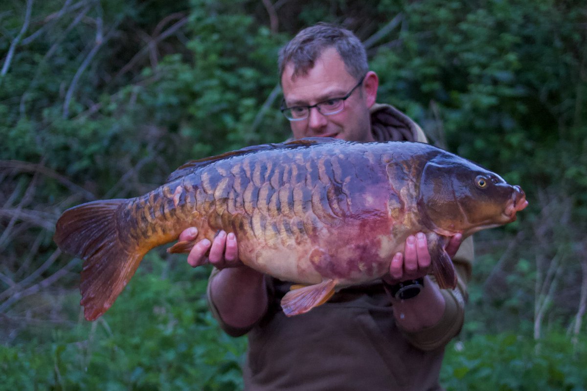 Infantrycarpers tweet media