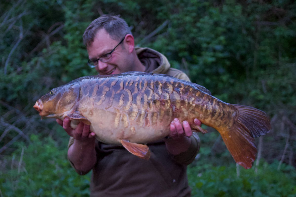 Infantrycarpers tweet media
