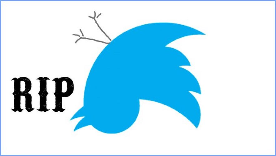 Pamela Phillips tweet media