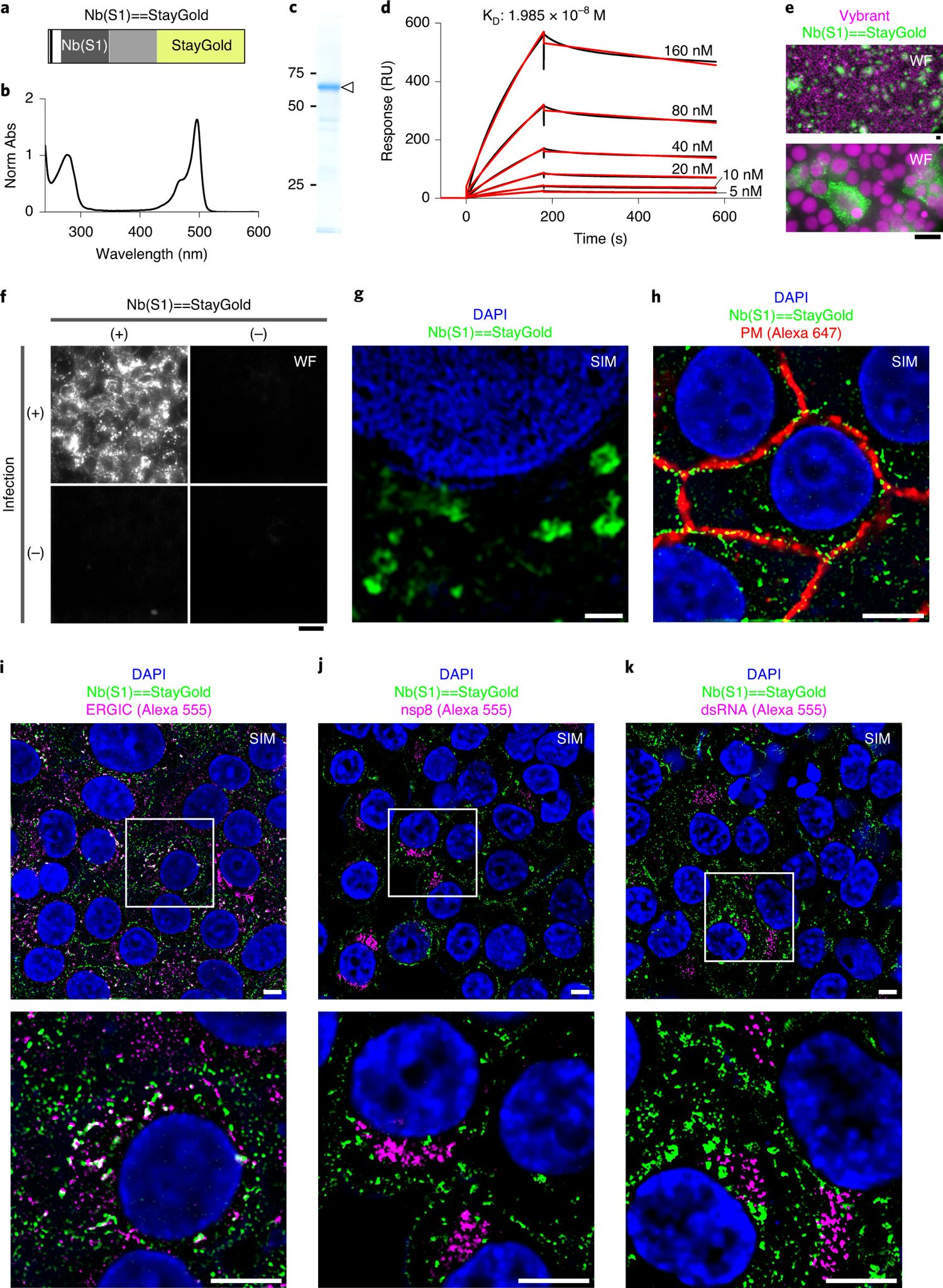 Nature Biotechnology on Twitter: