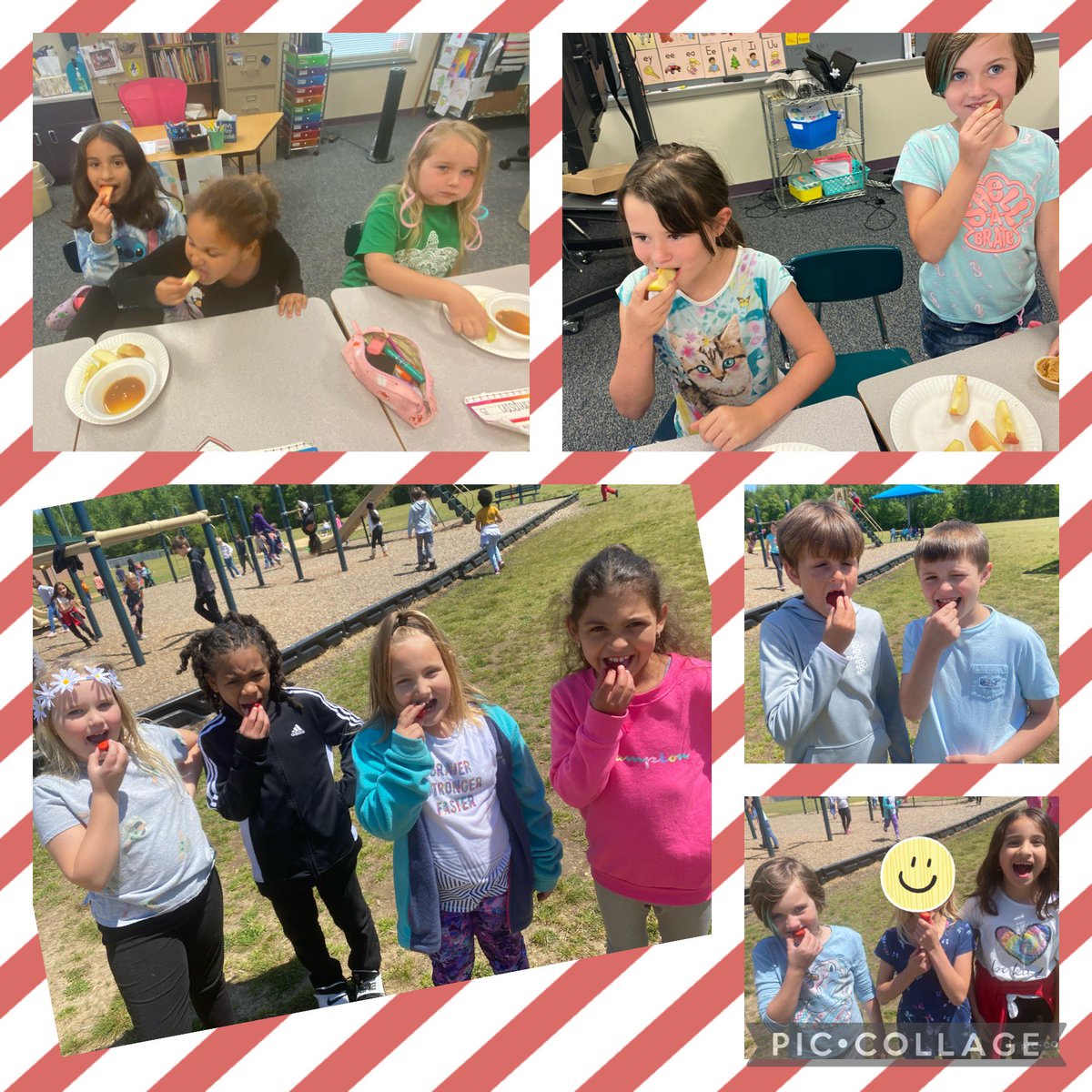 We have enjoyed fresh strawberries and apples from the NC State Farmers Market for the last two weeks! #EatFreshEatLocal