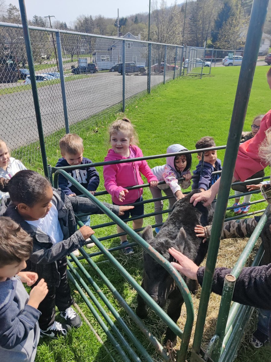 Sarah McLachlan (she/they) (@learnersrpeople) on Twitter photo Thank you local farmer, Jennifer Edwards, you went out of your way to make our kids' first agricultural experience exciting and informative! <a href="/BinghamtonCSD/">Binghamton CSD</a> #WeAreBenFranklin Thank you local farmer, Jennifer Edwards, you went out of your way to make our kids' first agricultural experience exciting and informative! <a href="/BinghamtonCSD/">Binghamton CSD</a> #WeAreBenFranklin