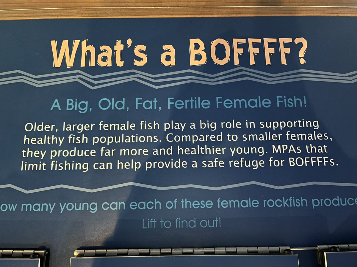 eachamp's tweet image. Where my BOFFFFs at