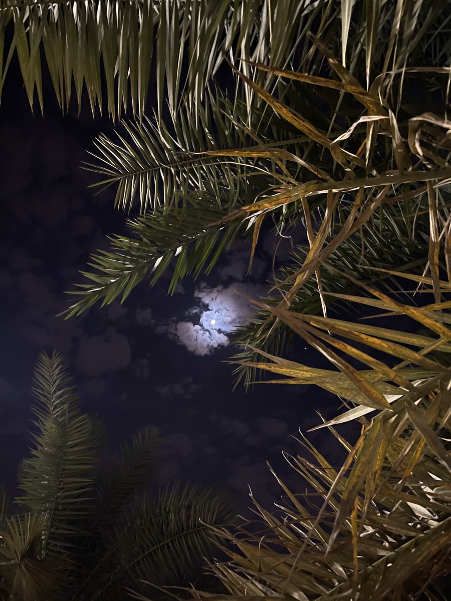 i_SaIeh's tweet photo. سجد قلبي على رمل الضلوع وهزه التنهيد  وأنا في قلبي خيام الندم والخوف منصوبة

أنا عبدك ولد عبدك وجدّاني هل التوحيد  خطاياي أخجلتني يا لله الغفران والتوبه 

أنا عبدك يا ربي وأنت تفعل ما تشاء وتريد  سألتك يالله العفو العظيم وهيّن دروبه
#نايف_صقر #ليلة_25 https://t.co/rw9iAcM3R5