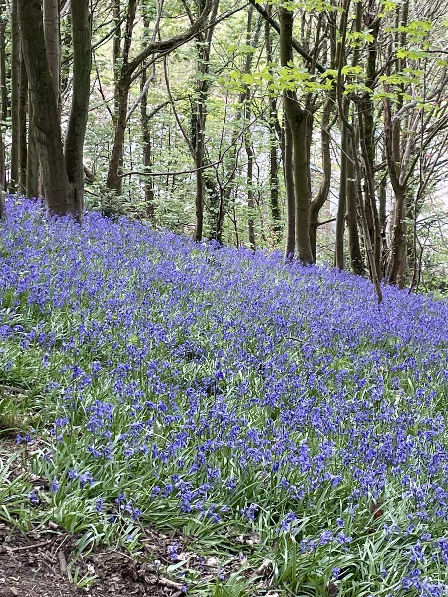 SarahGrout's tweet photo. Sharing with you some amazing images of my #StepsForFreedom challenge I’m undertaking in April as part of #TeamSterling with @SterlingNetwrks
I’m walking 100 miles to fundraise to support women affected by #DomesticAbuse
support at https://t.co/8YTRXRYoOl
#WorcestershireHour https://t.co/xz2cozVGNe