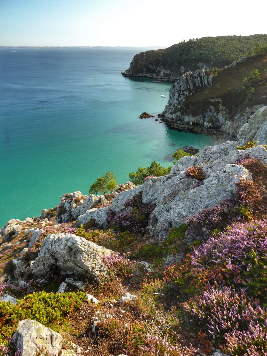 Vous avez aimé le Cap Sizun,vous allez adorer la presqu'île de Crozon ! 🤪  #bretagne #presquiledecrozon #crozon #Finistere #MagnifiqueFrance #brittany #MagnifiqueBretagne #photography