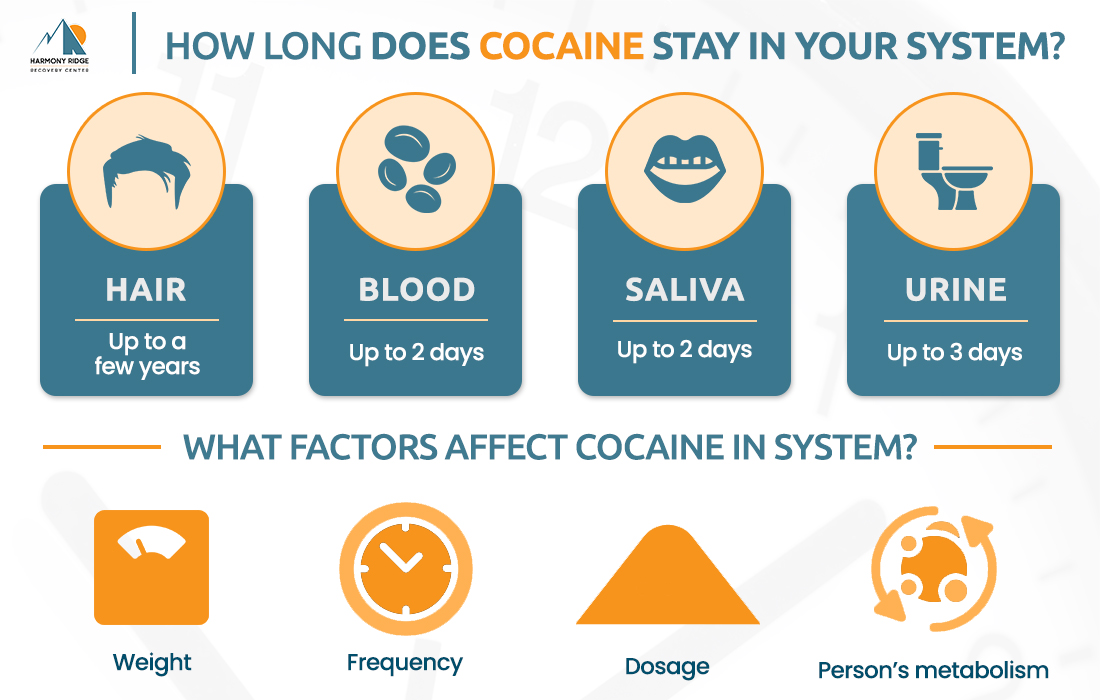 Cocaine can be detected in various parts of the body for an extended period of time after use.