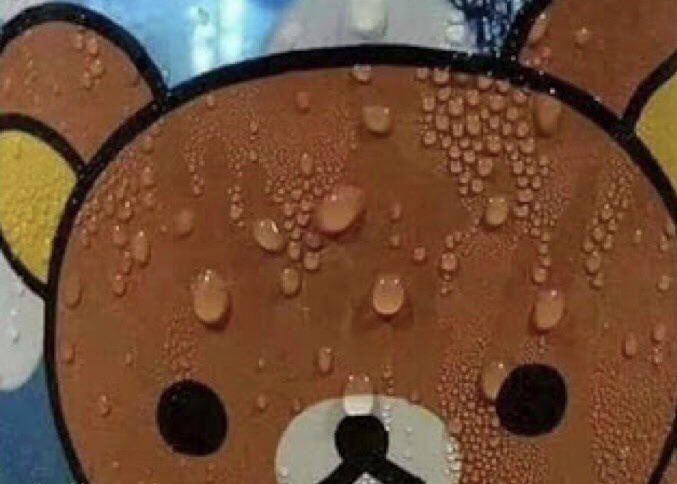 Panistas viendo que Elon Musk compró Twitter prometiendo eliminar a todos los bots: