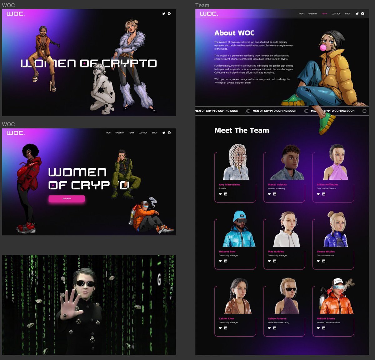 The Women of Crypto tweet media
