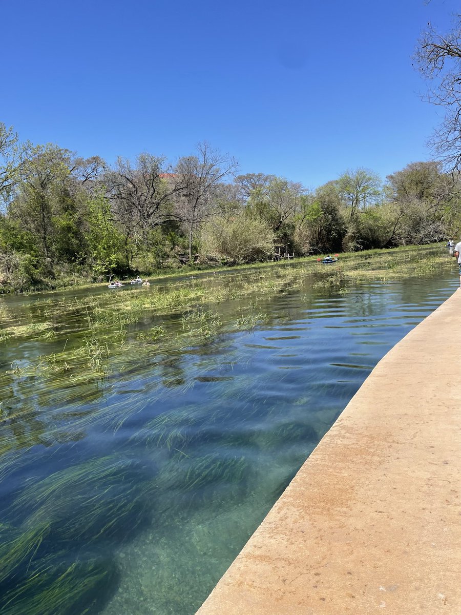 Tanner (@texasstatefb) on Twitter photo The beautiful San Marcos river is home to many Texas endangered species from the Texas blind salamander to the fountain darter and wild Texas rice! With the river staying at a year round temperature of 72 degrees. #sanmoriver #texasblindsalamander #texasrivers <a href="/txst/">Texas State University</a> The beautiful San Marcos river is home to many Texas endangered species from the Texas blind salamander to the fountain darter and wild Texas rice! With the river staying at a year round temperature of 72 degrees. #sanmoriver #texasblindsalamander #texasrivers <a href="/txst/">Texas State University</a>