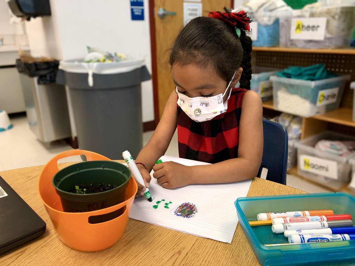 MrsCarofinePreK's tweet photo. Our plants continue to grow! πͺ΄ PreK Botanists document their observations. #prekscience #plantlifecycle @CFESRedBirds @FCPSPreKEHS https://t.co/TgacMKpa8T