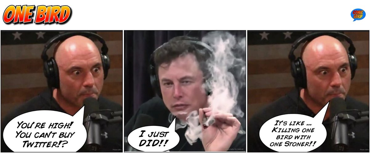 IMstandup's tweet photo. One Bird with @elonmusk @joerogan ... and @Twitter #dontletitflop #viral #immaheadout #bookme2023 https://t.co/iGv54PCMGl
