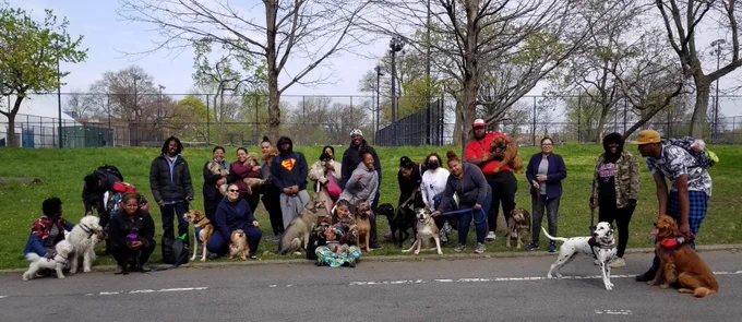 A group of dog owners and their dogs gathered together in a park.
