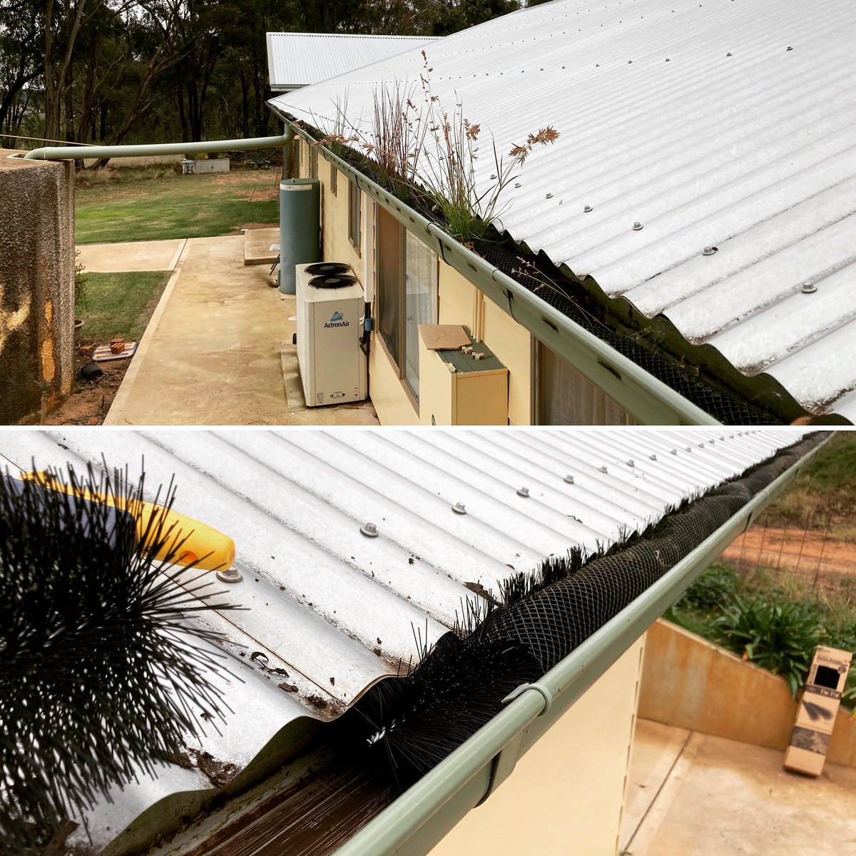 Tracy Blackburn tweet media