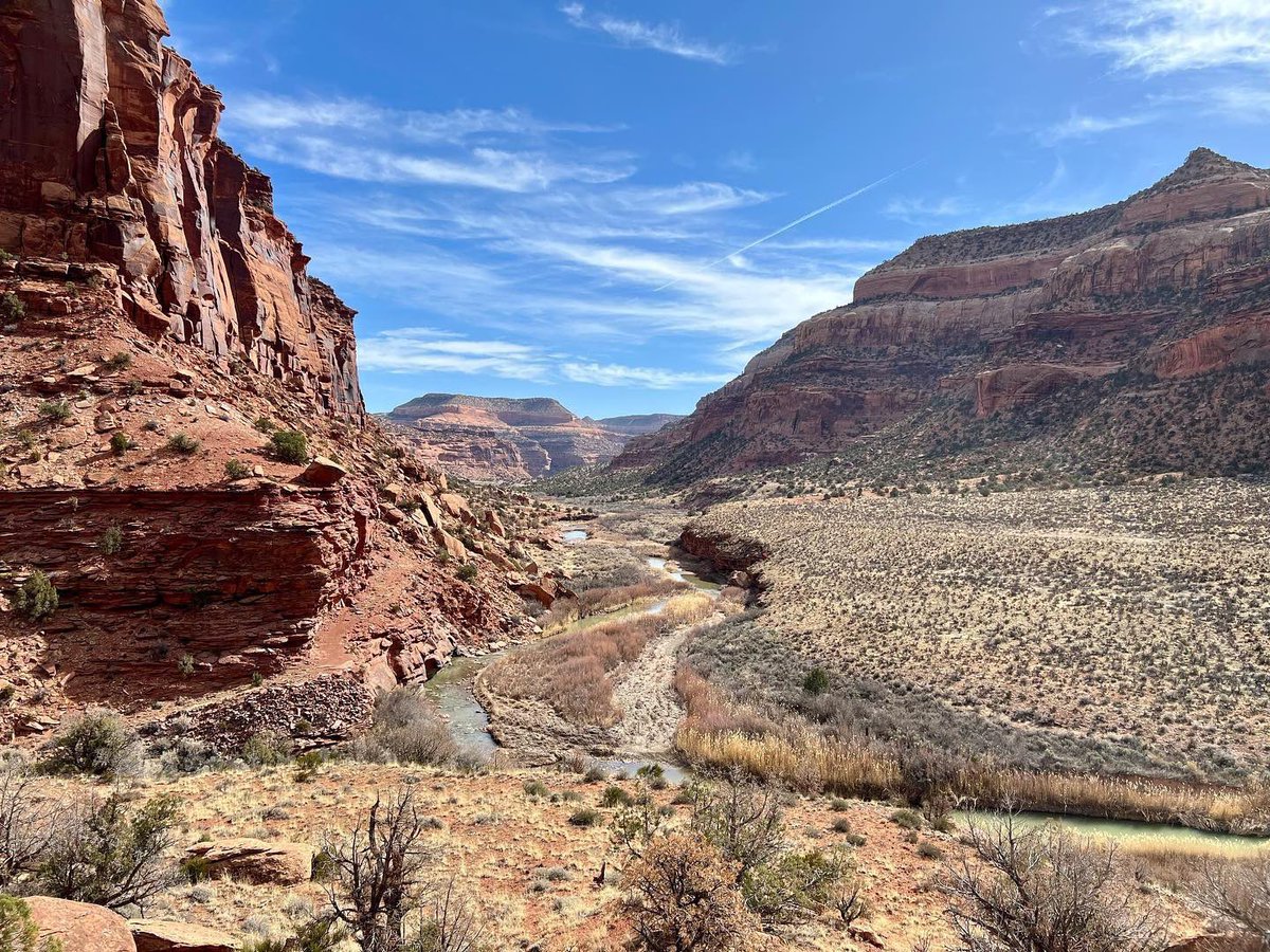 WestEndColorado's tweet photo. It’s fairly safe to say that we can all agree on one fact that seems to hold true no matter the season. Desert days are the best days!

Who can name this easy going trail?

And who can name this fun little rapid?

📸: IG/@holdenashley 
🏜: Dolores River Canyon
📍: Bedrock, CO https://t.co/Cb1qHB7AuH