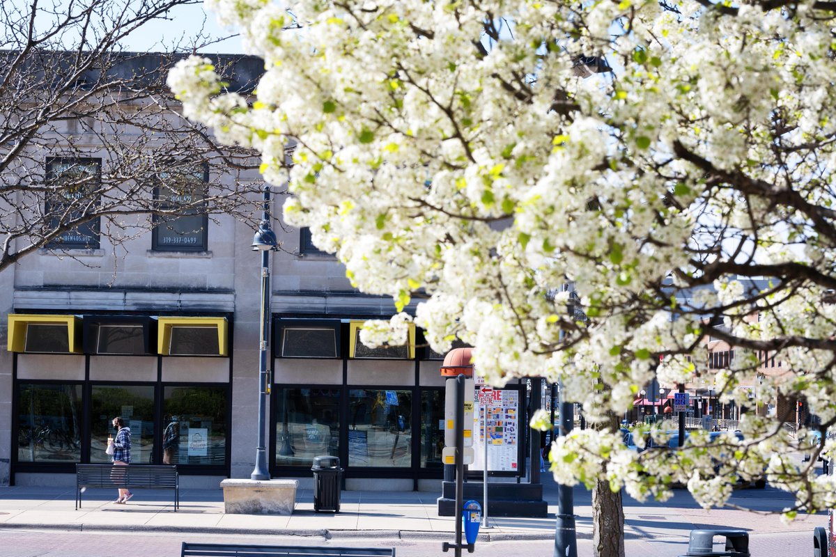 uiowa's tweet photo. Never was there ever a campus so pretty. 🎶💛🖤 https://t.co/pOZHcDbOwj