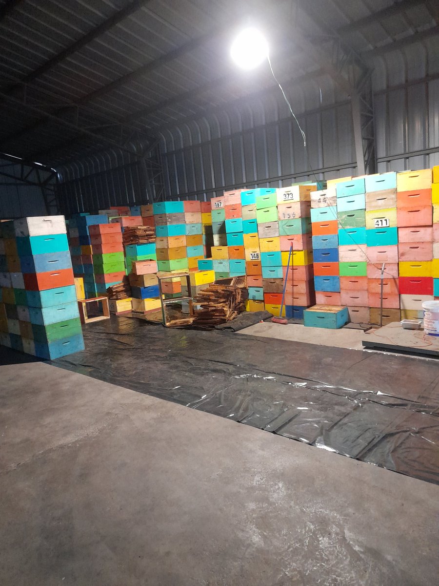 La laboriosa tarea de seleccionar marcos con mucho polen, negros o en malas condiciones para ser llevados a fundir y recuperar la cera! El ciclo de la cera! Volverá a la colmena la próxima temporada! 🐝🐝🐝🐝🐝

#regióndelmaule #chile #apicultura #rustichoneychile