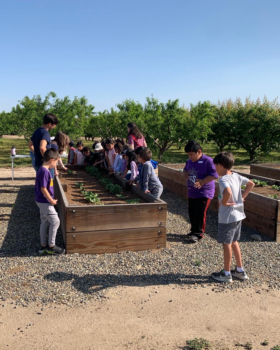 TUSDFarm's tweet photo. First Grade study trips are at the Farm this week!  Can’t wait to see all of you first graders!!!  Thank you to the @officialturlockffa and @pitmanffa02 students that are sharing their agriculture knowledge this week. https://t.co/fWf6heVWyW