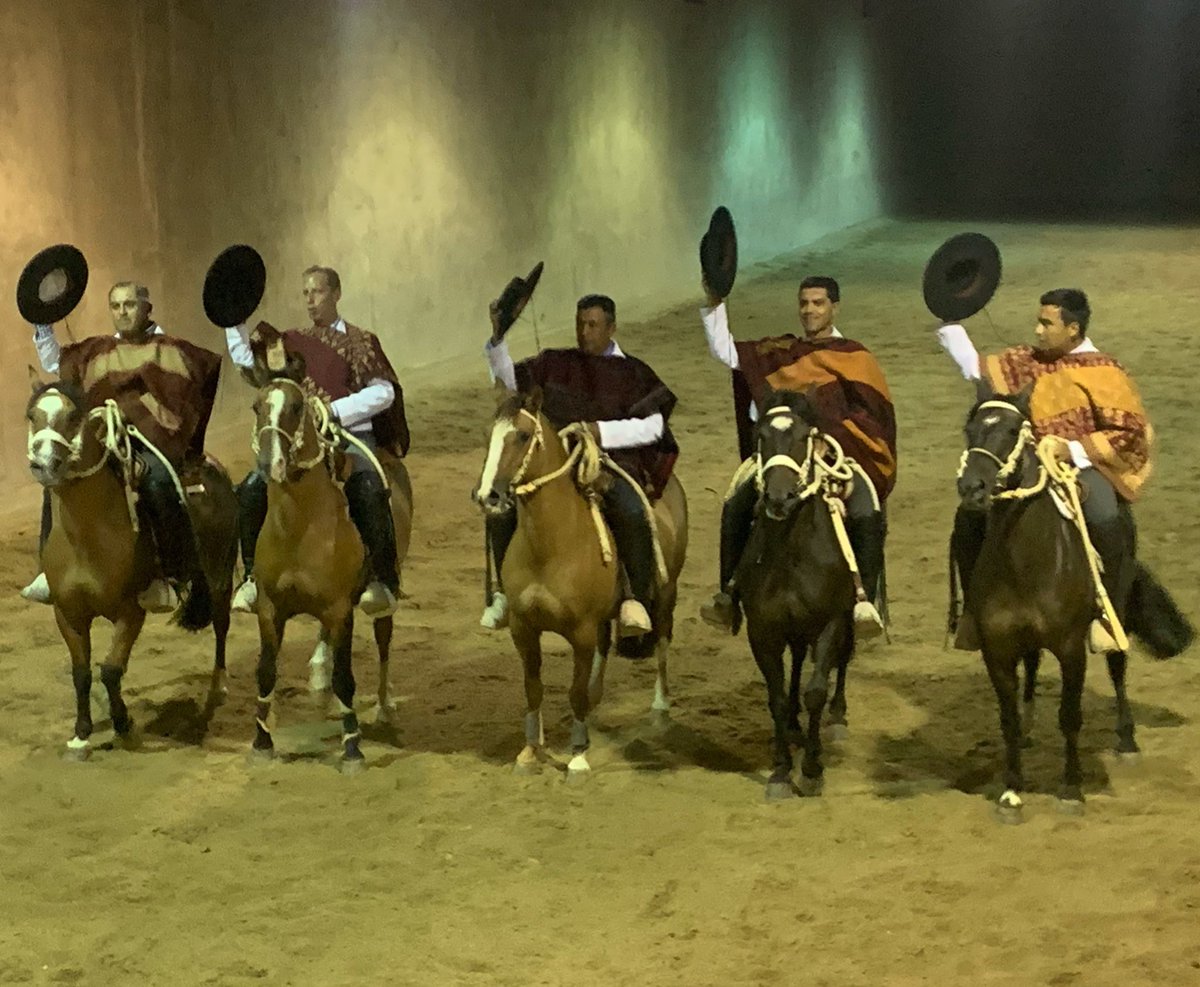 ¡Buenas noches amigos! ¡Qué descansen! #palmasdepeñaflor