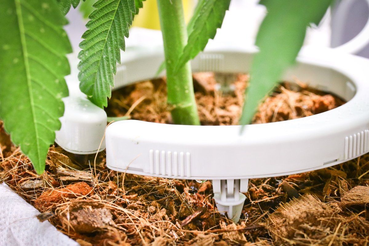 NetafimUSA's tweet photo. What benefits do you achieve with NetBow™?
🌱 Uniform growth
🌱 Optimal root zone development
🌱 Less diseases
🌱 Reduced labor
🌱 Better ROI (maximized profit)
Learn more by visiting, https://t.co/LmYml3goiK
#NetBow #ContainerCrops #DripIrrigation https://t.co/khR3psSime