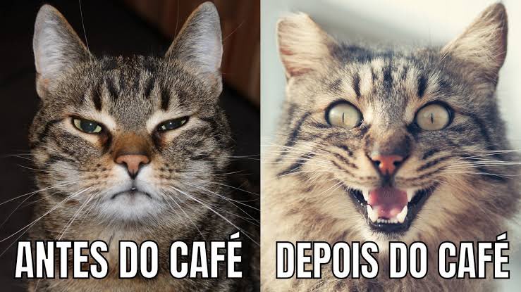feercorte's tweet photo. Eu antes do café e depois de tomar um café 😅 

https://t.co/3nE4e50khp https://t.co/rJkFNvxeBF
