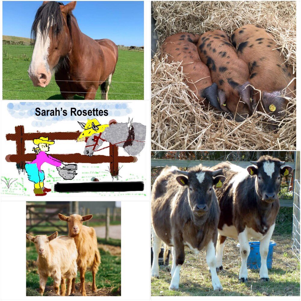 RBST - Caledonian Support Group tweet media