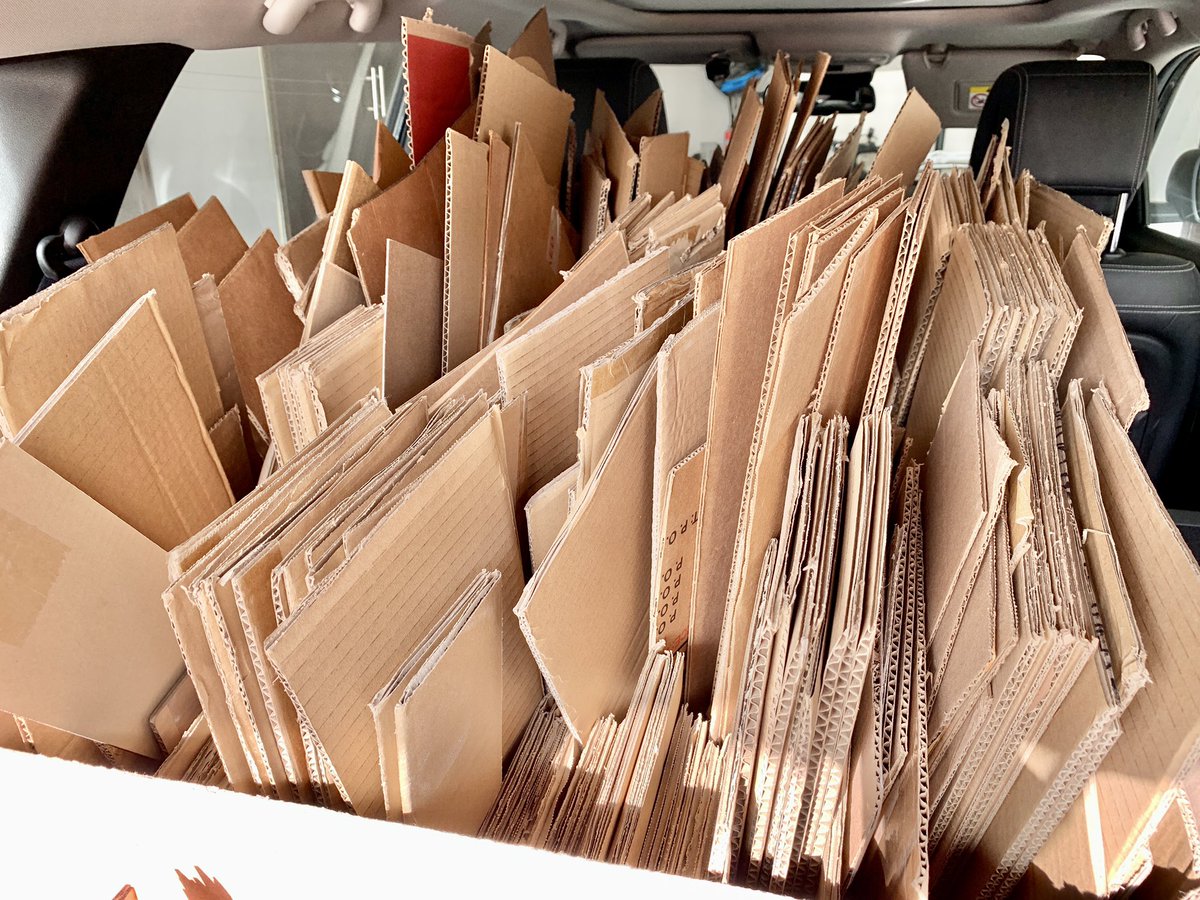 Candace Taylor-Weber tweet media