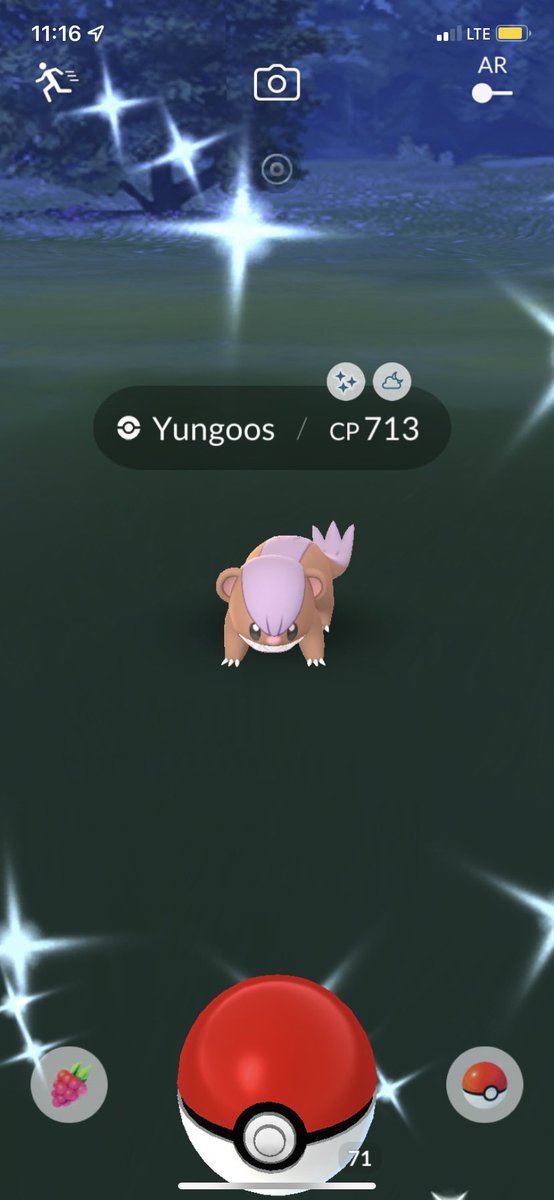 DonP0GO's tweet photo. Really bad at managing this account 😂 but hey I’ll keep trying! Recent shinies for me have been:
A Yungoos I caught on my way home from work 
Stufful from CD obviously 😂
And I did a Rockruff raid this morning and got SUPER lucky to get the shiny! 
#shinyPokemon #PokemonGO https://t.co/jsRKYMS0PS