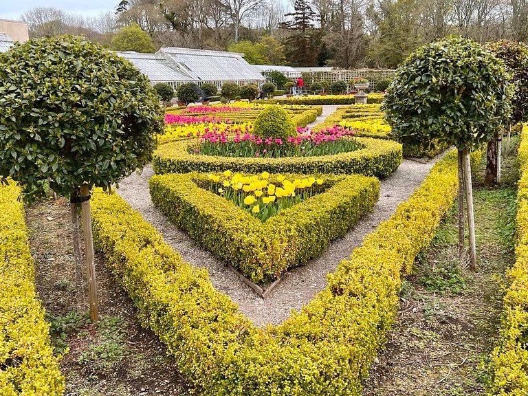 IrishOChamps's tweet photo. ✨ 4 Days to go! ✨

Muckross House and Gardens are looking spectacular 🤩

In 4 days time you will be orienteering through this maze of colour during the Sprint Race (Day 1)

🌹💐🏵🌸🌷

Be sure to follow the page for updates and live feed throughout the weekend 🥳 https://t.co/Q1fVwiXcZ2