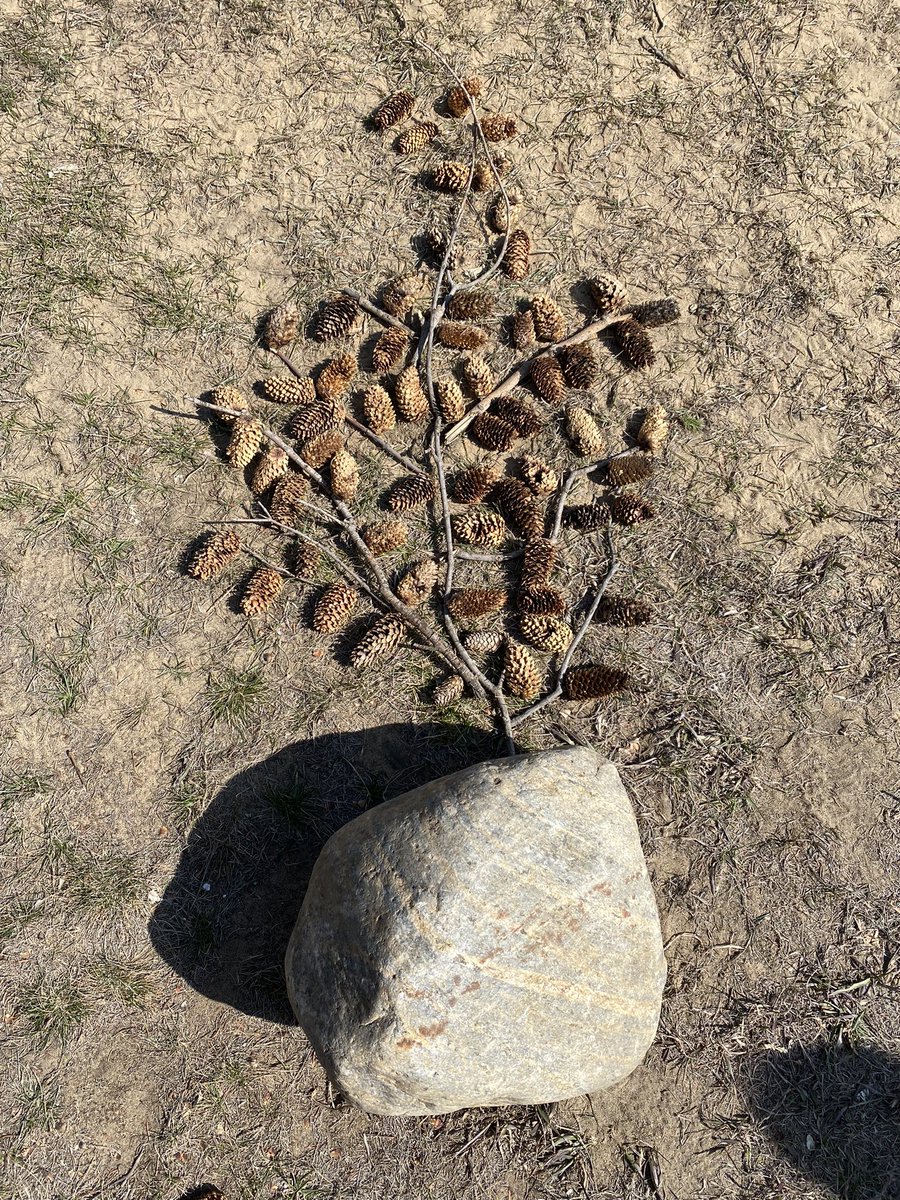 msfunk2's tweet photo. To celebrate Earth Day, we got outside and created ‘earthworks’ sculptures to reconnect with our planet. Our inspiration came from artists Goldsworthy and Smithson. The ideas were flowing and we felt the sun on our skin and the wind in our hair. #pssd #getoutside #EarthDay https://t.co/DainUduB0L