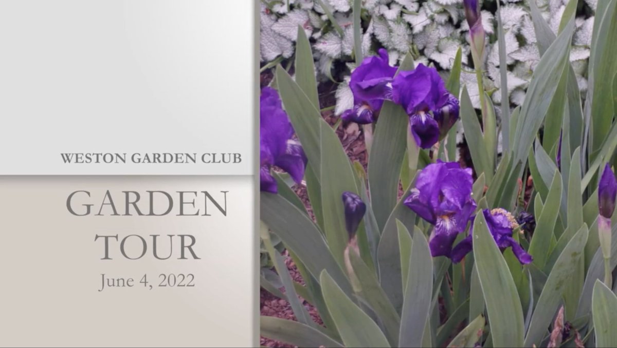 You can get your tickets now for the Weston Garden Club's June 4th Garden Tour.  Enjoy a bit of springtime sights and sounds with this little PSA
…2.execute-api.us-west-2.amazonaws.com/ssr/watch/6255…