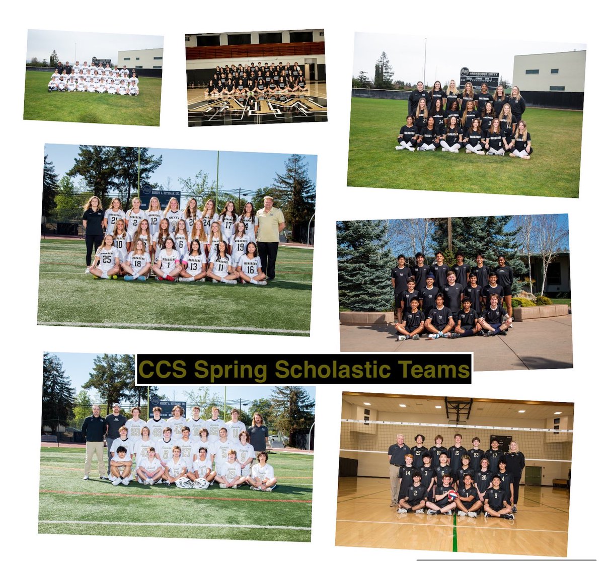 AMHSAthletics's tweet photo. Congratulations to our 8 Spring sport teams who were named @cifccs Scholastic Award Winners for having one of the top five team GPA’s in the CCS: badminton, baseball, men’s volleyball, men’s lacrosse, women’s lacrosse, softball, women’s swimming and diving, and men’s tennis. https://t.co/uqY6pxC0PF