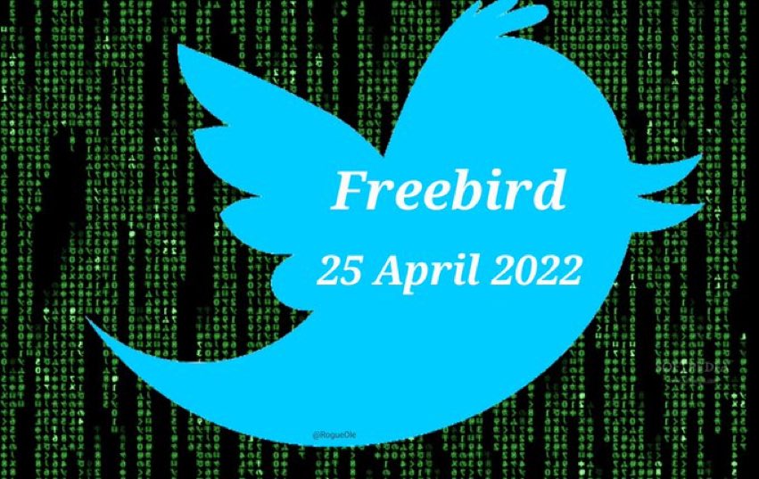 theMINI's tweet image. 