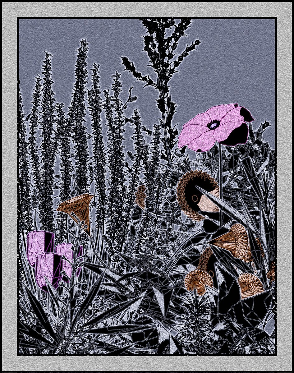 Jim The Bim tweet media