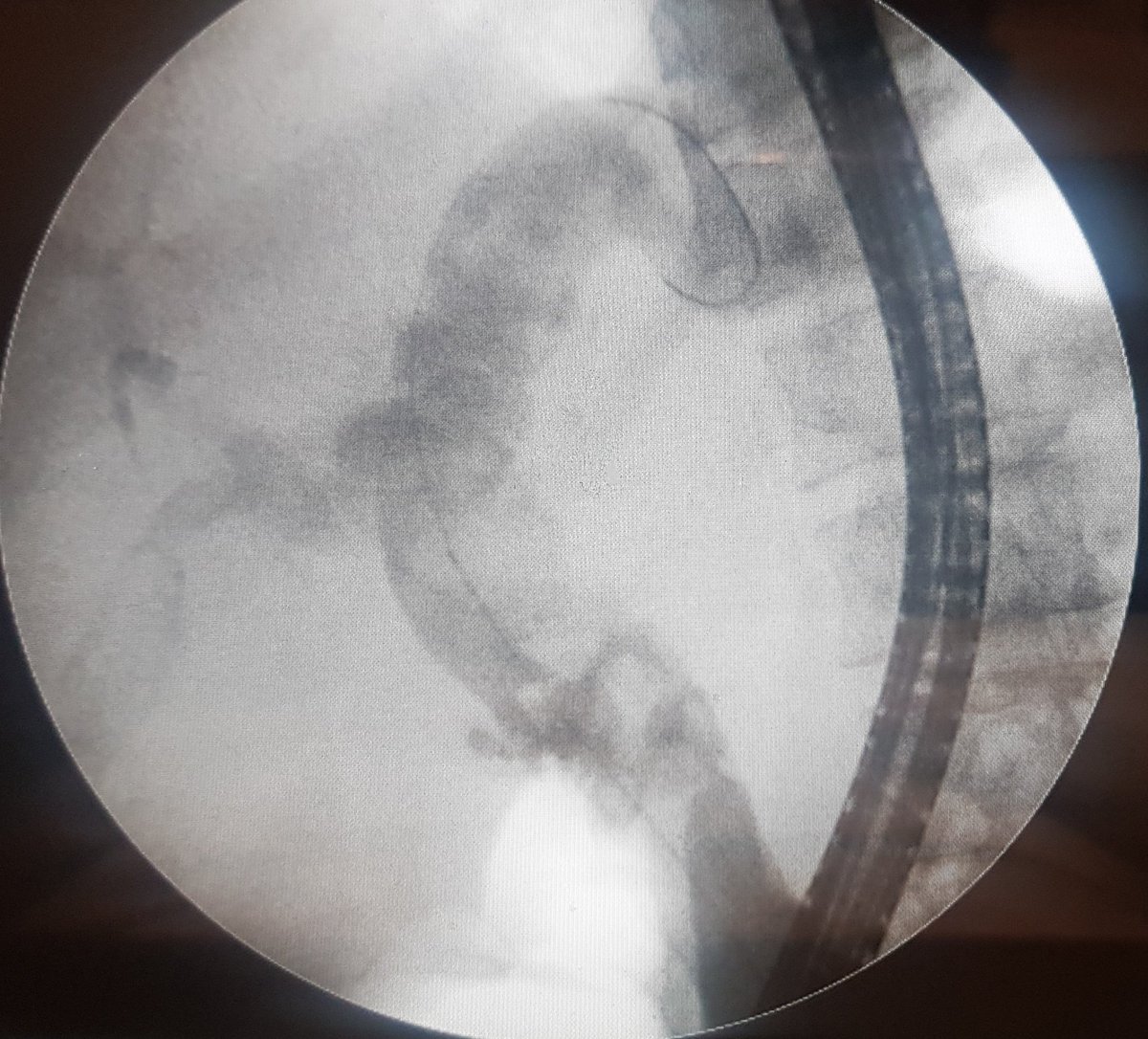 Turki AlAmri |تُرْكي عبدالله الْعَمريَّ MD tweet media