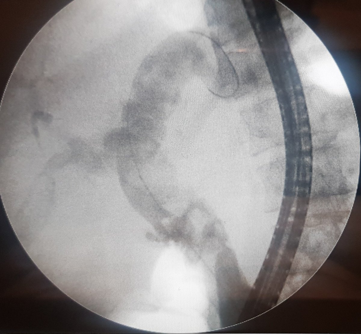 Turki AlAmri |تُرْكي عبدالله الْعَمريَّ MD tweet media