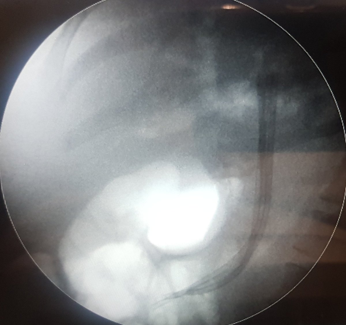 Turki AlAmri |تُرْكي عبدالله الْعَمريَّ MD tweet media