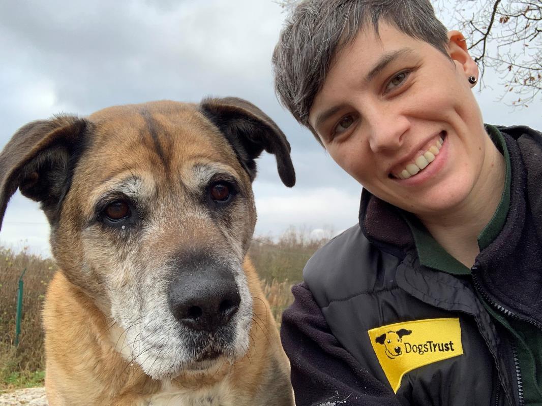 AdoptionsUk's tweet image. Please retweet to help Binx find a home #EDINBURGH #SCOTLAND 🏴󠁧󠁢󠁳󠁣󠁴󠁿
Aged 8, poor Binx has been waiting for a couple of years. He would like a quiet adult home as the only pet.
 
DETAILS or APPLY👇
dogstrust.org.uk/rehoming/dogs/…………
#dogs #DogsofTwittter #animals #rescue #rescuedog