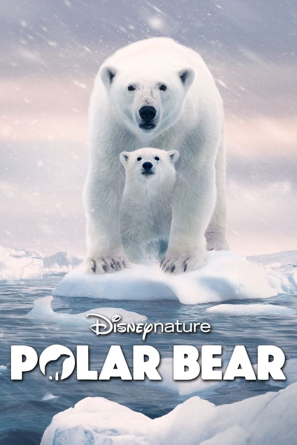 IndeeHD's tweet photo. Película de Estreno en @IndeeHD

Título: #polarbear 

Género: #documental 

Tráiler: https://t.co/C7gakk7DEu

Mas contenido en nuestro Catálogo👇
✅https://t.co/vmzrUwvYew https://t.co/rNaPdTAkZ0
