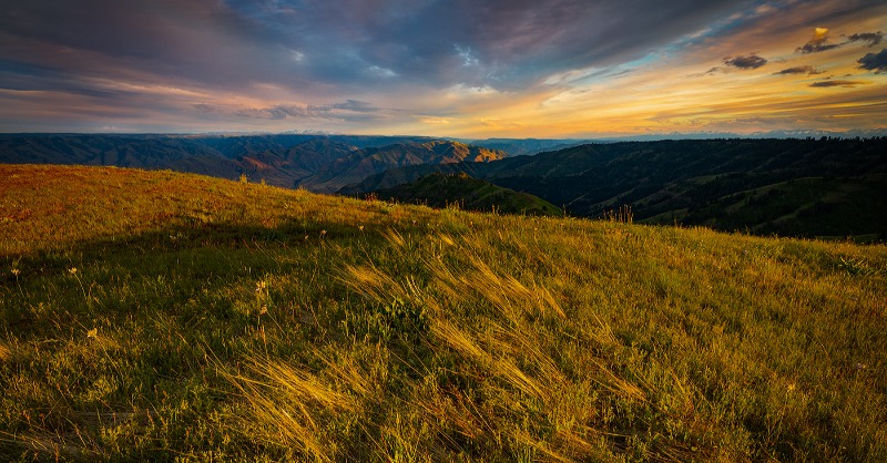 patagonia's tweet photo. Patagonia grantee @hellscanyonPres is looking for a leader who shares their passion for protecting interconnected wildlands and free-flowing waters across the Greater Hells Canyon Region.

Click to learn about their open Executive Director position and apply to join their team.