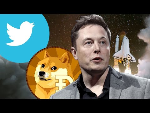 NewWave_Traders's tweet photo. Curious if #Dogecoin is worth buying into after Elon purchases Twitter? Here's what the charts have to say. I show you exactly key levels to pay attention to and invalidations for each path so you don't get sucked into hopium or fomo. Trade smart. 
https://t.co/kHsV4w0LW0 https://t.co/Qnzz0jDkSz