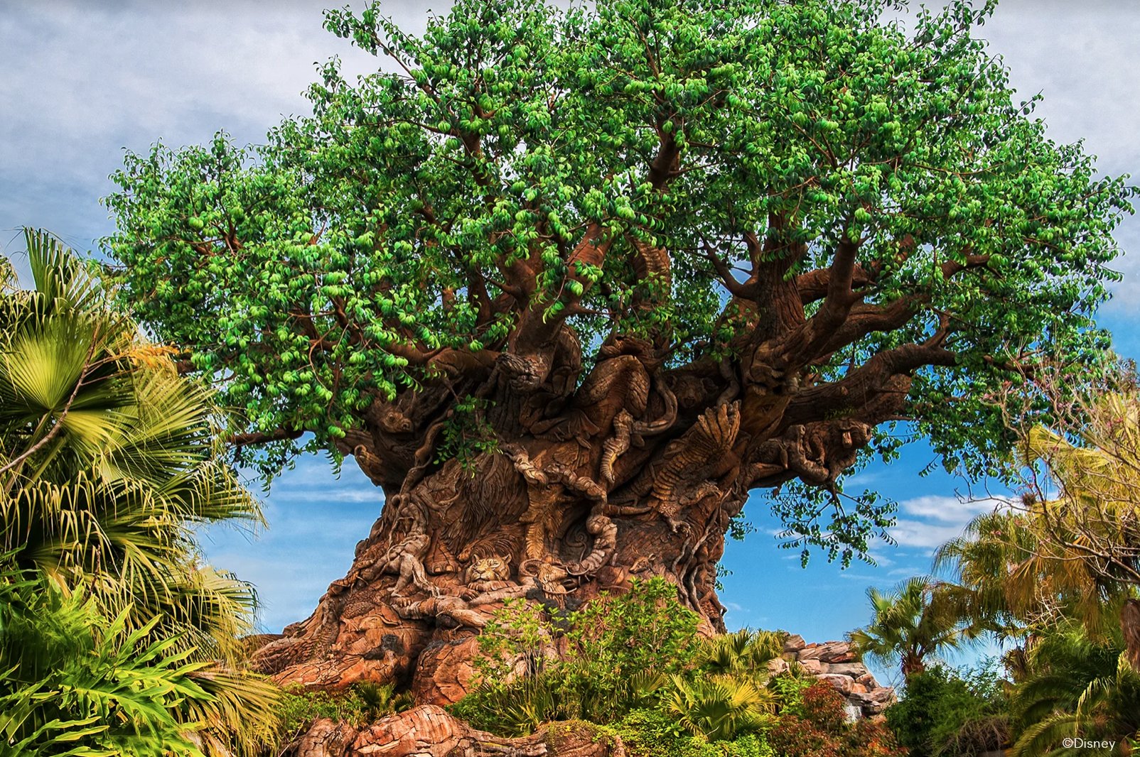 Kahoot! on Twitter "Celebrate Earth Month with this fun kahoot created