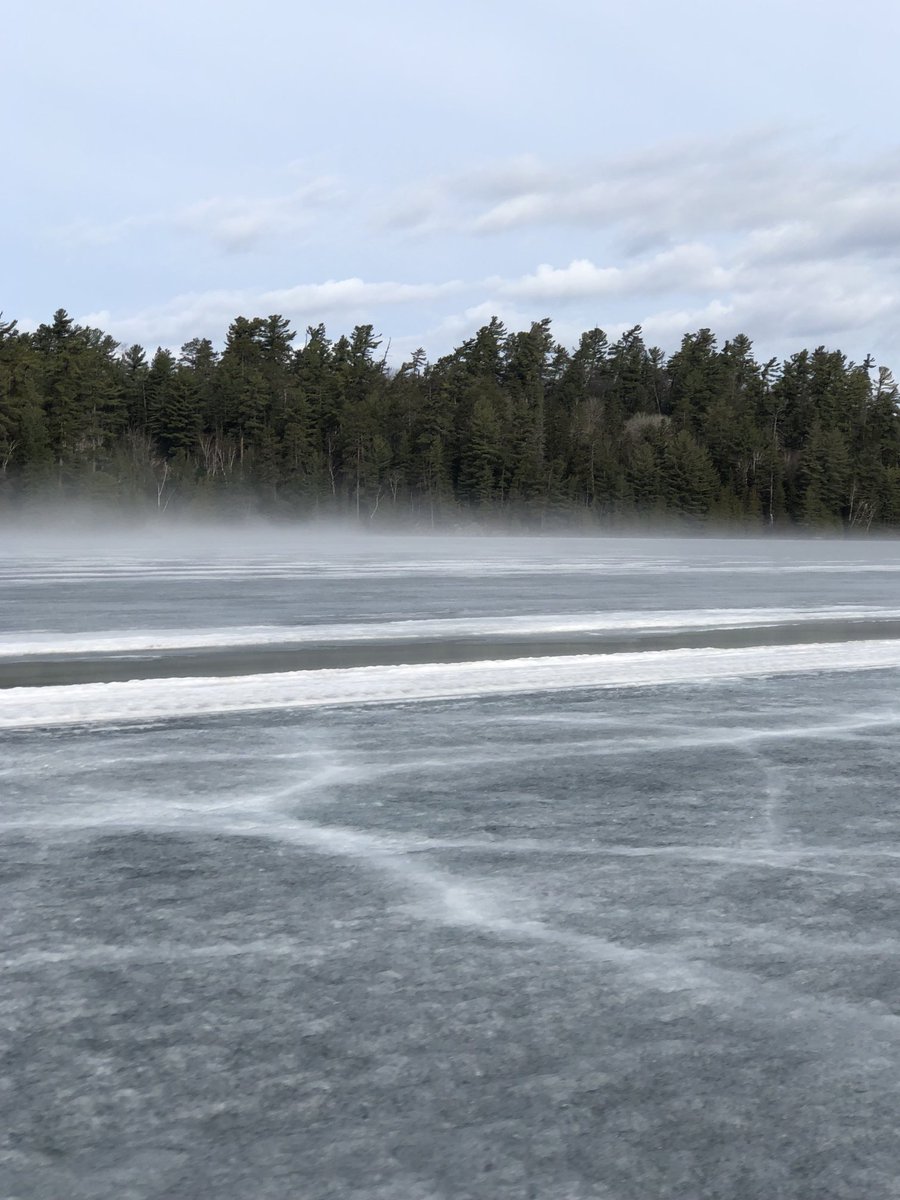 Shelly MooreFrappier tweet media